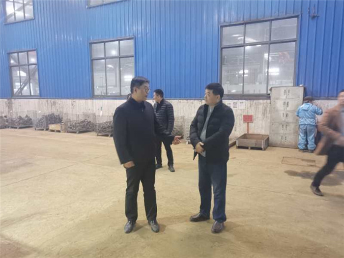 Vice Mayor Wu Qiang came to Tianhai to investigate the situation of