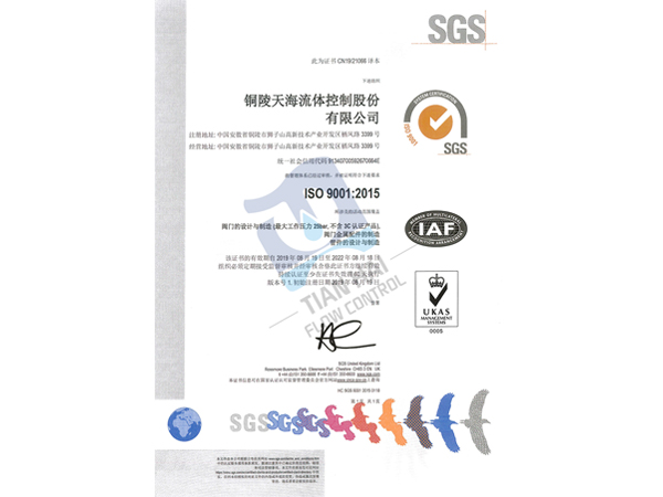 Système ISO9001 (moyen)